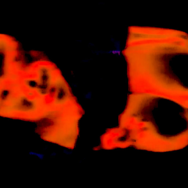 New Media Fellow Exhibition: Overspaced