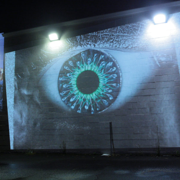 Night Lights: Julia Calabrese